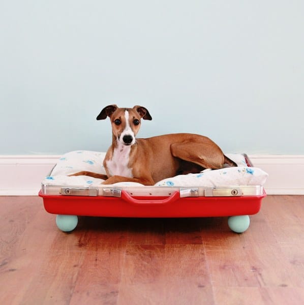 30+ Brilliant Pet Bed DIY Ideas