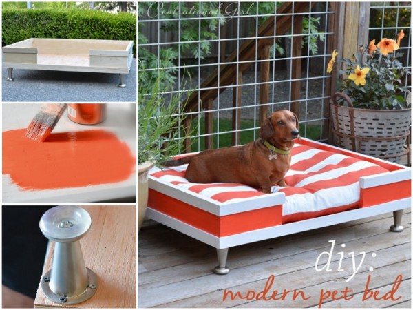 30+ Brilliant Pet Bed DIY Ideas