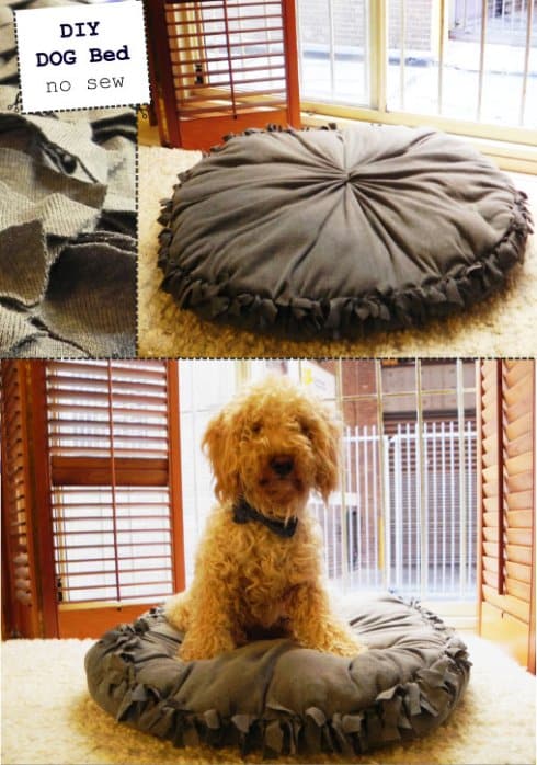 30+ Brilliant Pet Bed DIY Ideas