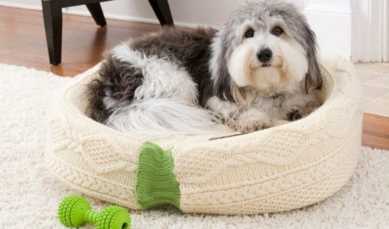 30+ Brilliant Pet Bed DIY Ideas