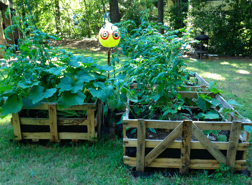 15 Cheap & Easy DIY Raised Garden Beds