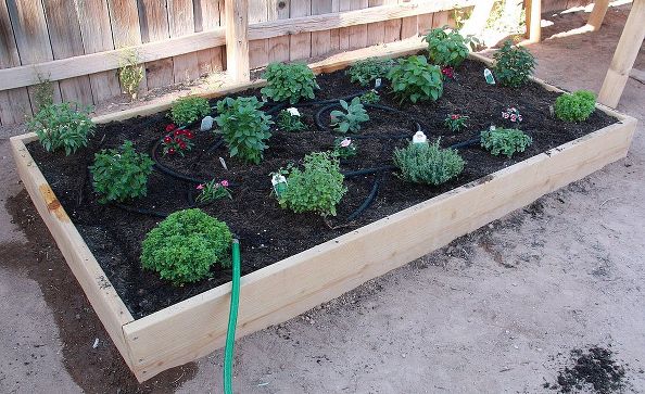 15 Cheap & Easy DIY Raised Garden Beds