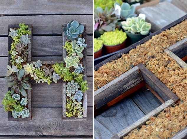 10+ Awesome DIY Succulent Frame