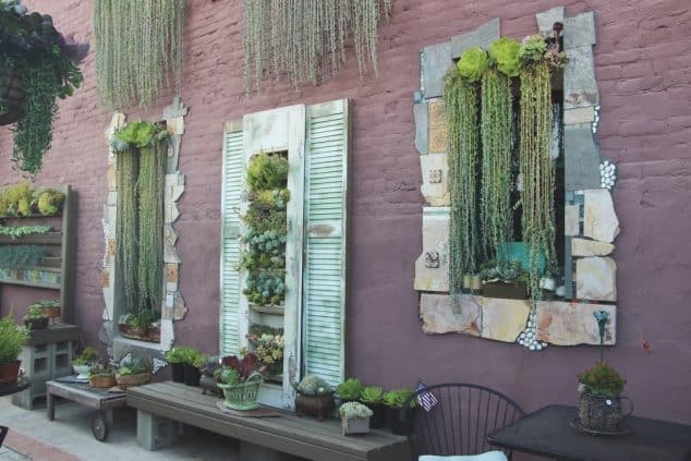 10+ Awesome DIY Succulent Frame