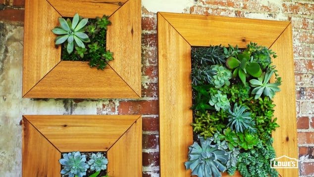 10+ Awesome DIY Succulent Frame