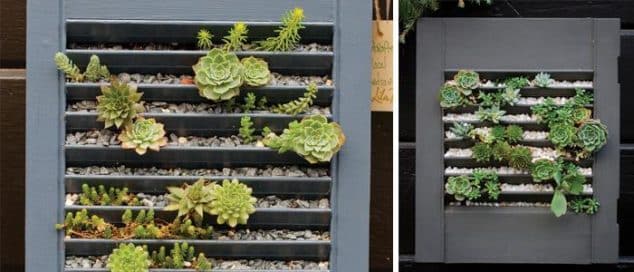 10+ Awesome DIY Succulent Frame