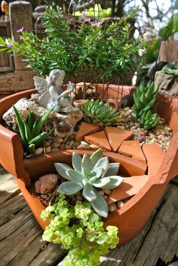 Succulent Garden 1