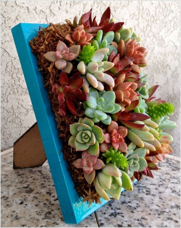 15 Awesome Succulent Garden Ideas