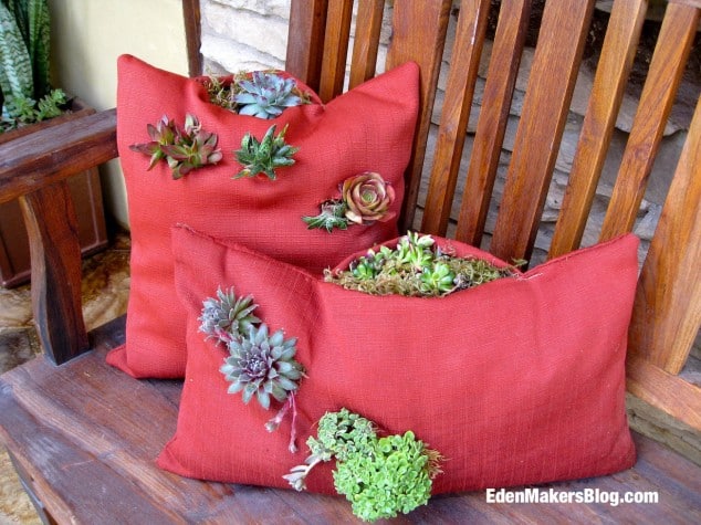 15 Awesome Succulent Garden Ideas