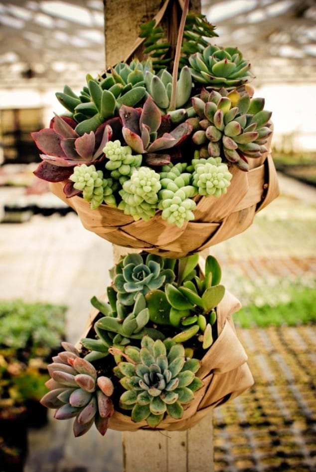 15 Awesome Succulent Garden Ideas