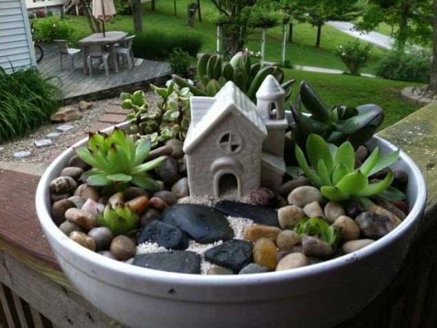 Succulent Garden 2