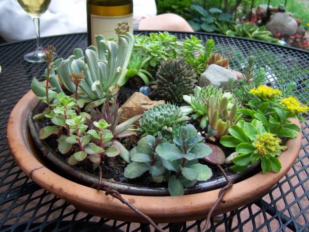 15 Awesome Succulent Garden Ideas