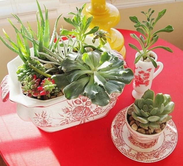 15 Awesome Succulent Garden Ideas