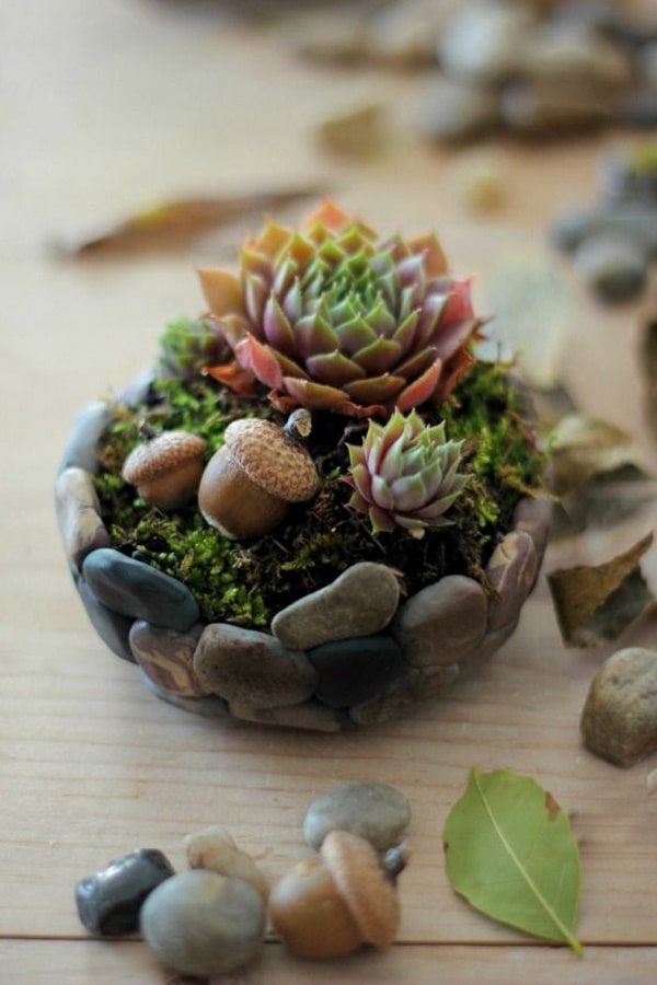 15 Awesome Succulent Garden Ideas