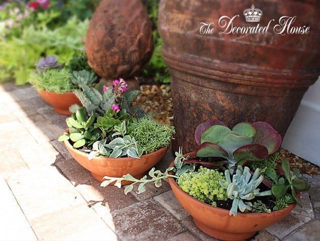 15 Awesome Succulent Garden Ideas