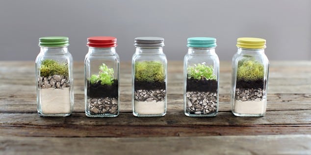 15 Miniature Terrariums Masterpieces