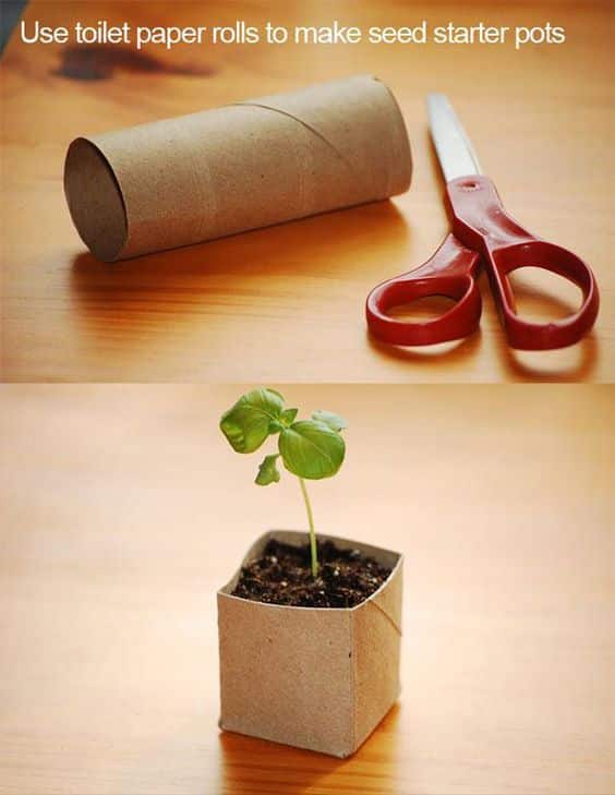 Awesome Toilet Paper Rolls Crafts