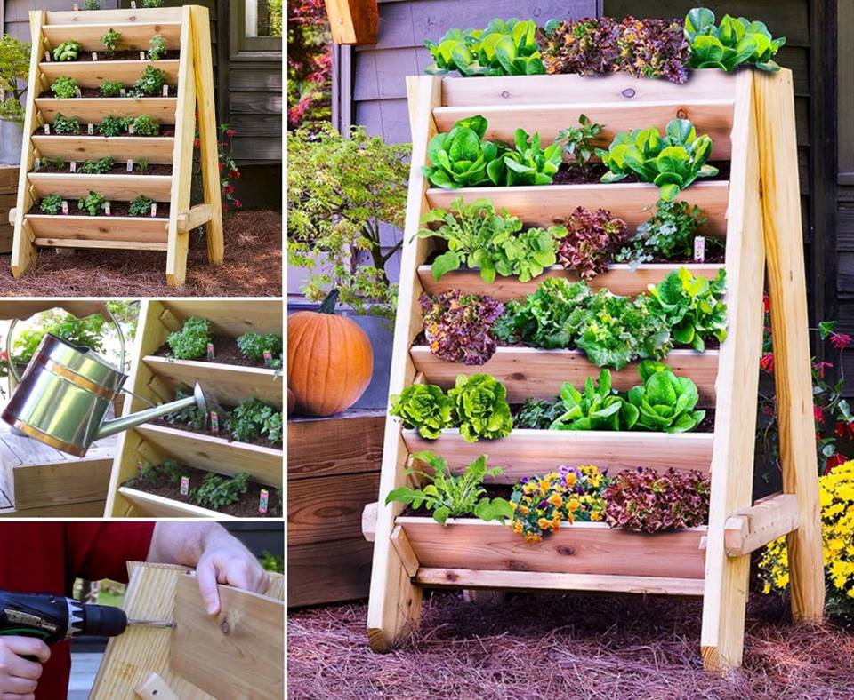 Vertical Garden Planters