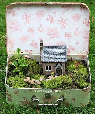 Wonderful Fairy Garden Ideas