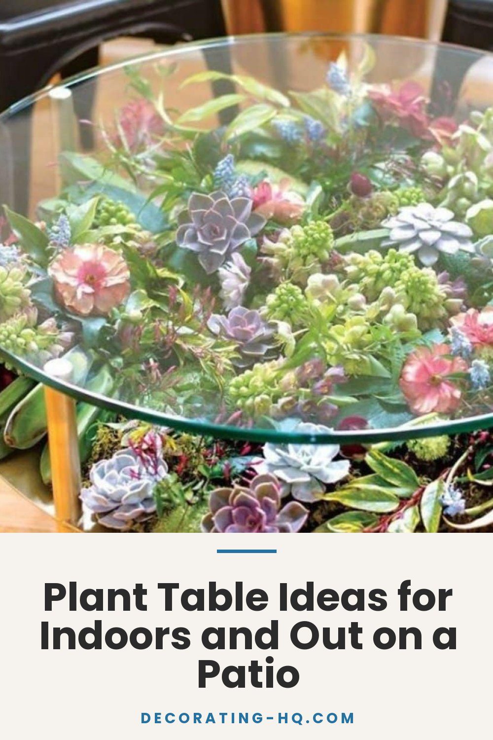 Plant Table Ideas for Indoors and Out on a Patio