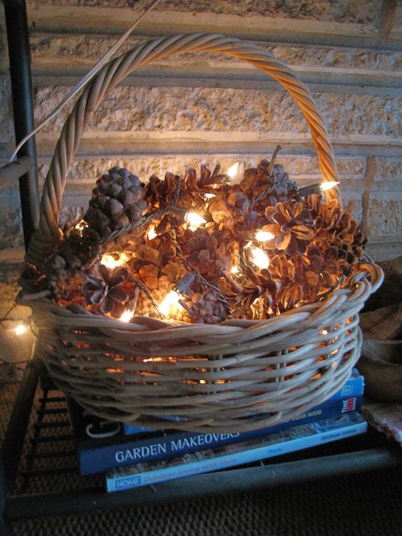 amazing things to do with pinecone 2