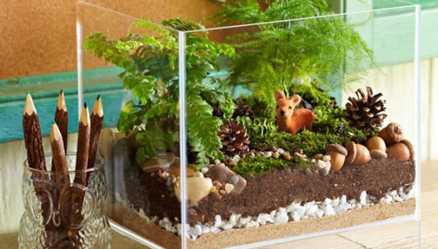 15 Miniature Terrariums Masterpieces