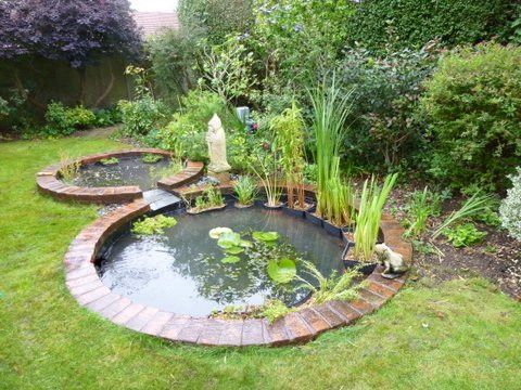 amazing water garden ideas 10