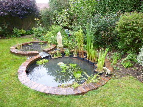 Amazing Water Garden Ideas: Transform Your Outdoor Oasis