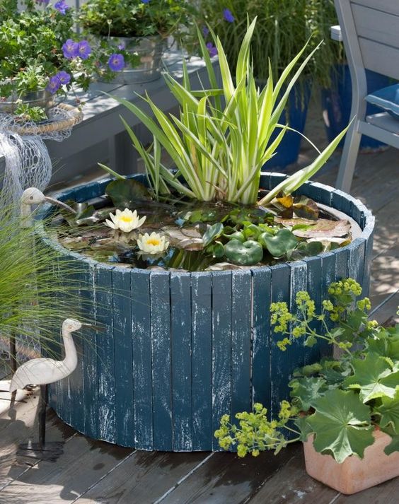 amazing water garden ideas 11