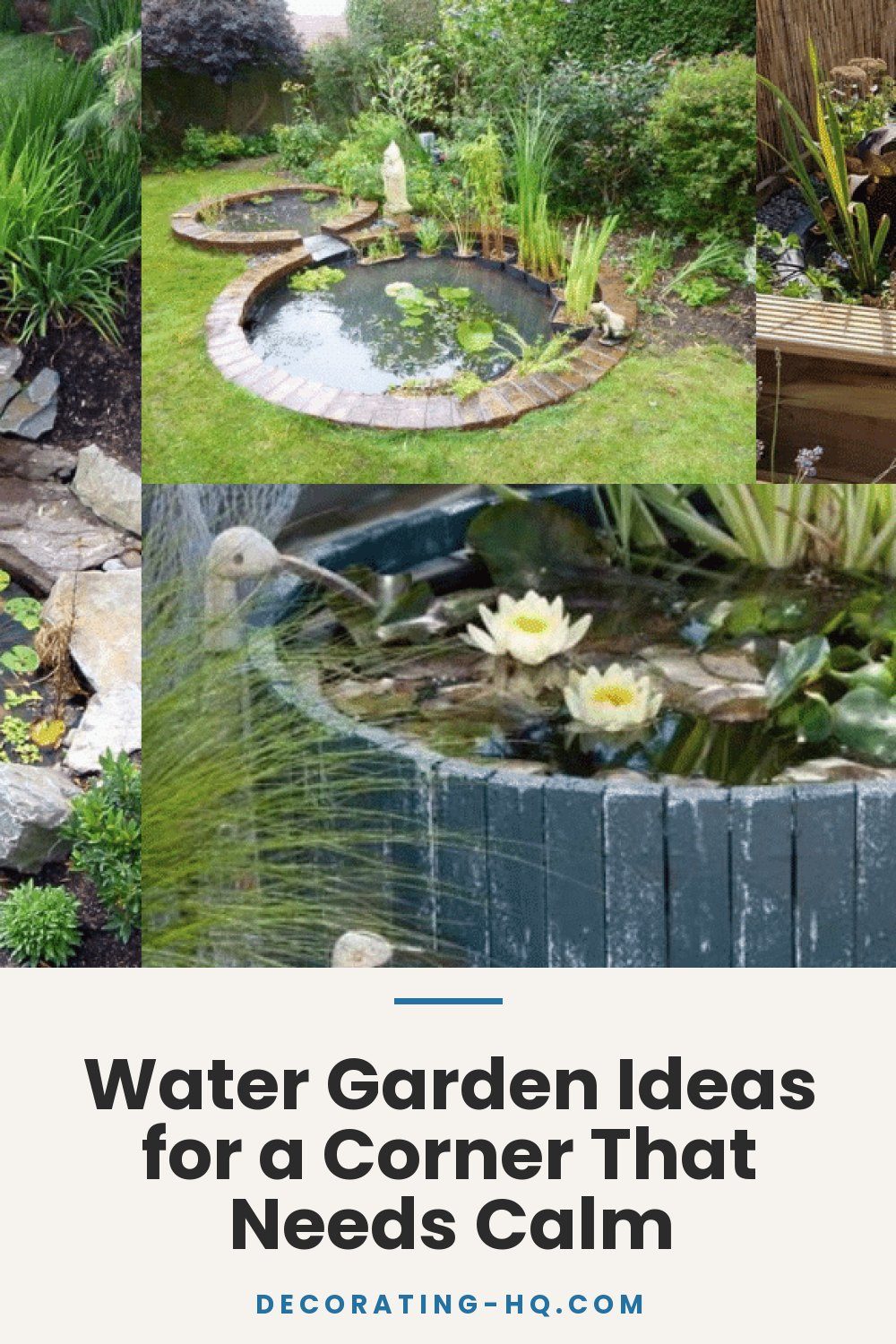 Water Garden Ideas for a Corner That Needs Calm