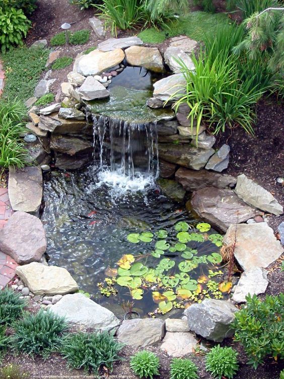 amazing water garden ideas 4