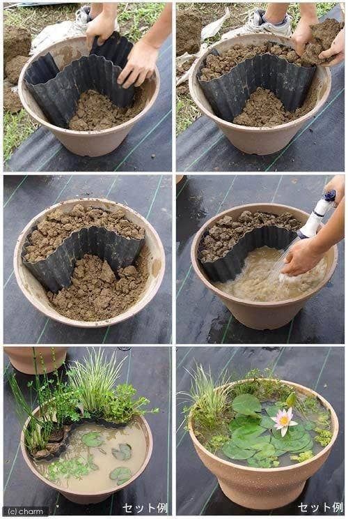 amazing water garden ideas 6