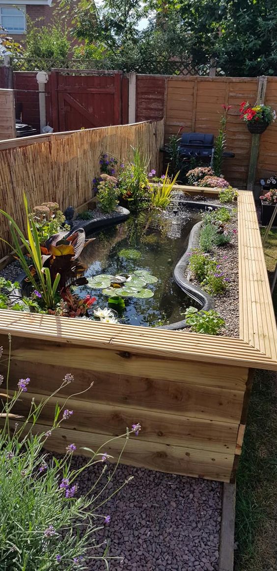 amazing water garden ideas 7
