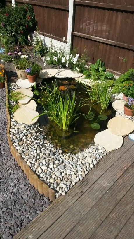 amazing water garden ideas 9