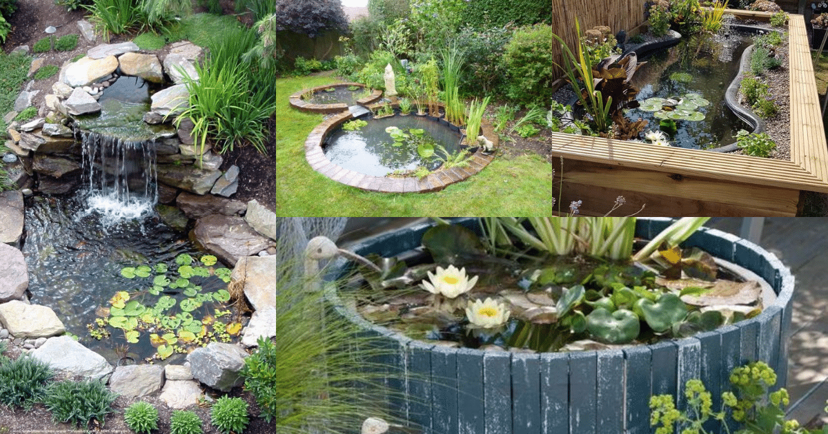 amazing water garden ideas