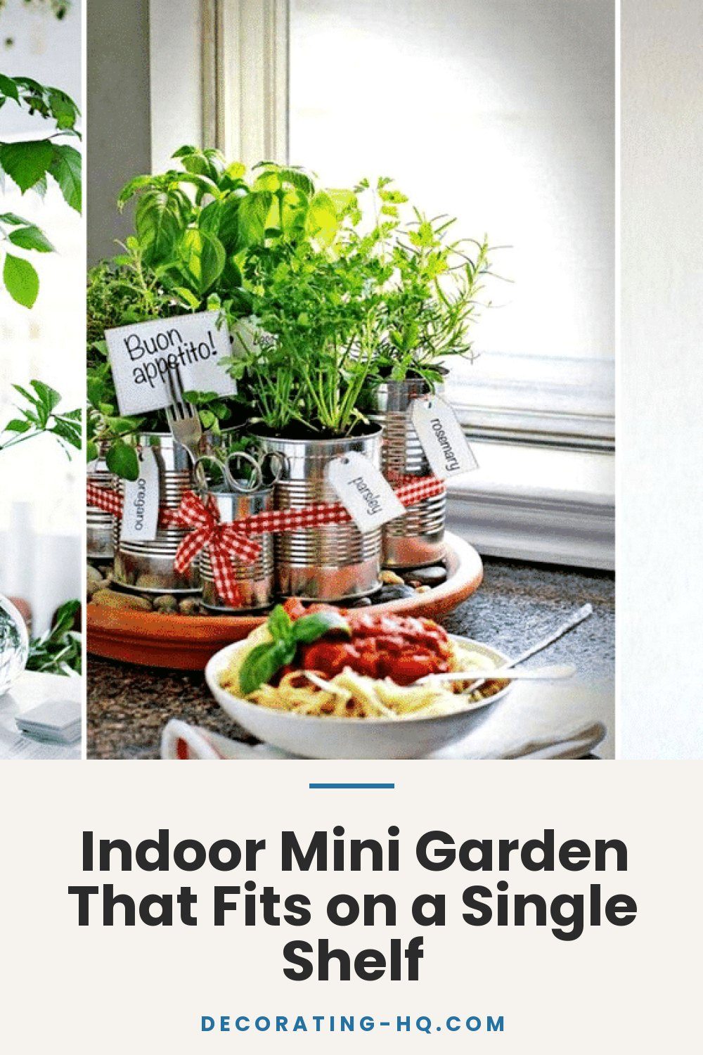 Indoor Mini Garden That Fits on a Single Shelf