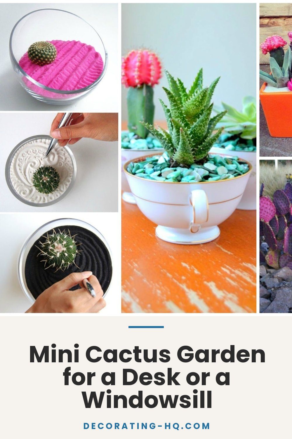 Mini Cactus Garden for a Desk or a Windowsill