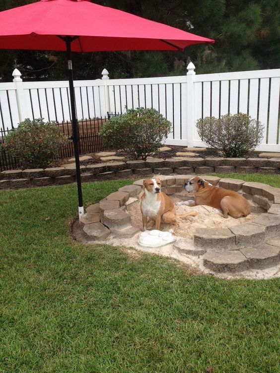 backyard landscaping ideas for dogs 1