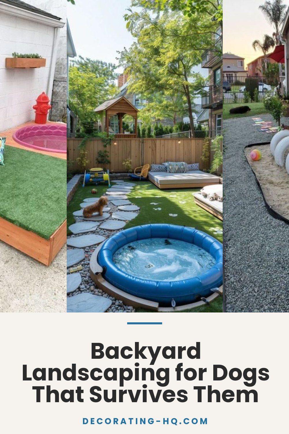 Backyard Landscaping for Dogs That Survives Them
