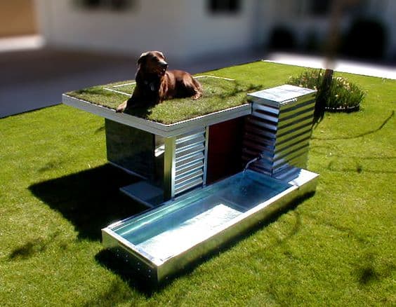 backyard landscaping ideas for dogs 9