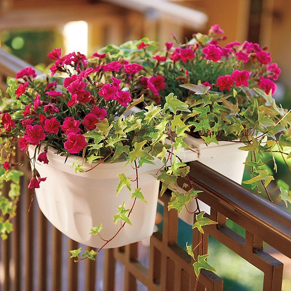 balcony-flower-boxes-3