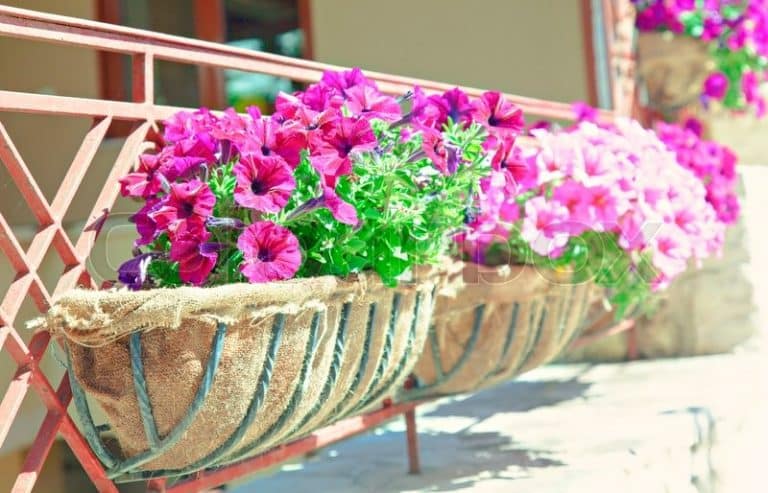 12+ Wonderfull Balcony Flower Boxes