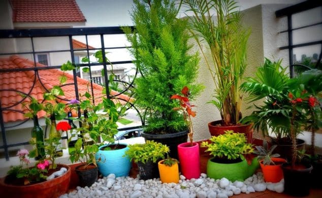 15+ Awesome Balcony Garden Ideas