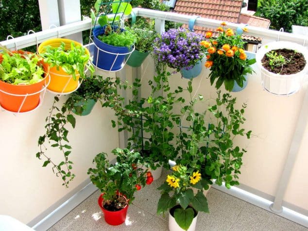 15+ Awesome Balcony Garden Ideas