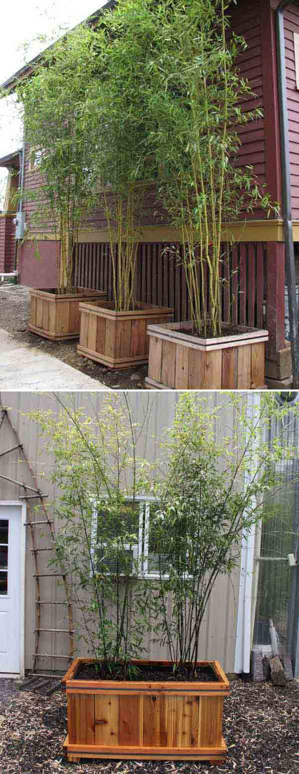 15+ Fantastic DIY Bamboo Creatively For Your Garden