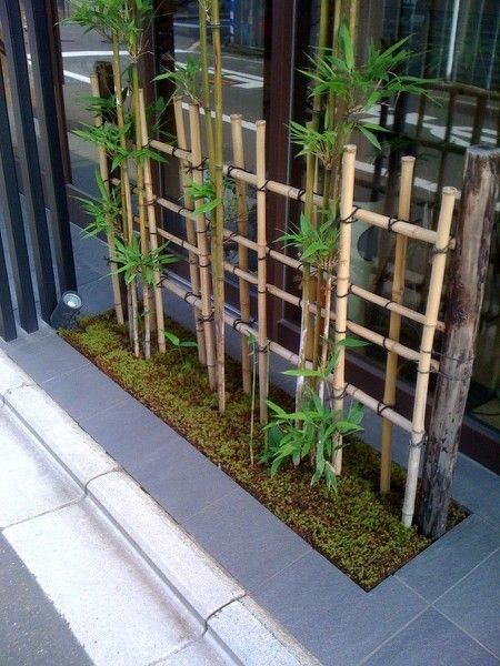 20+ Bamboo Tree Decorations For Your Home Interior