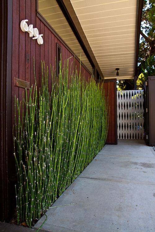 bamboo interior 5