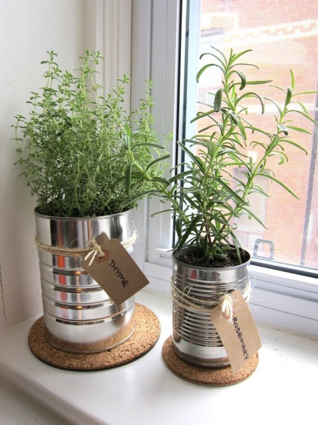 Creative Ideas How To Display Your Indoor Plants