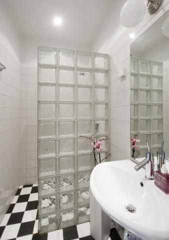 15+ Bathroom decorated with glass blocks