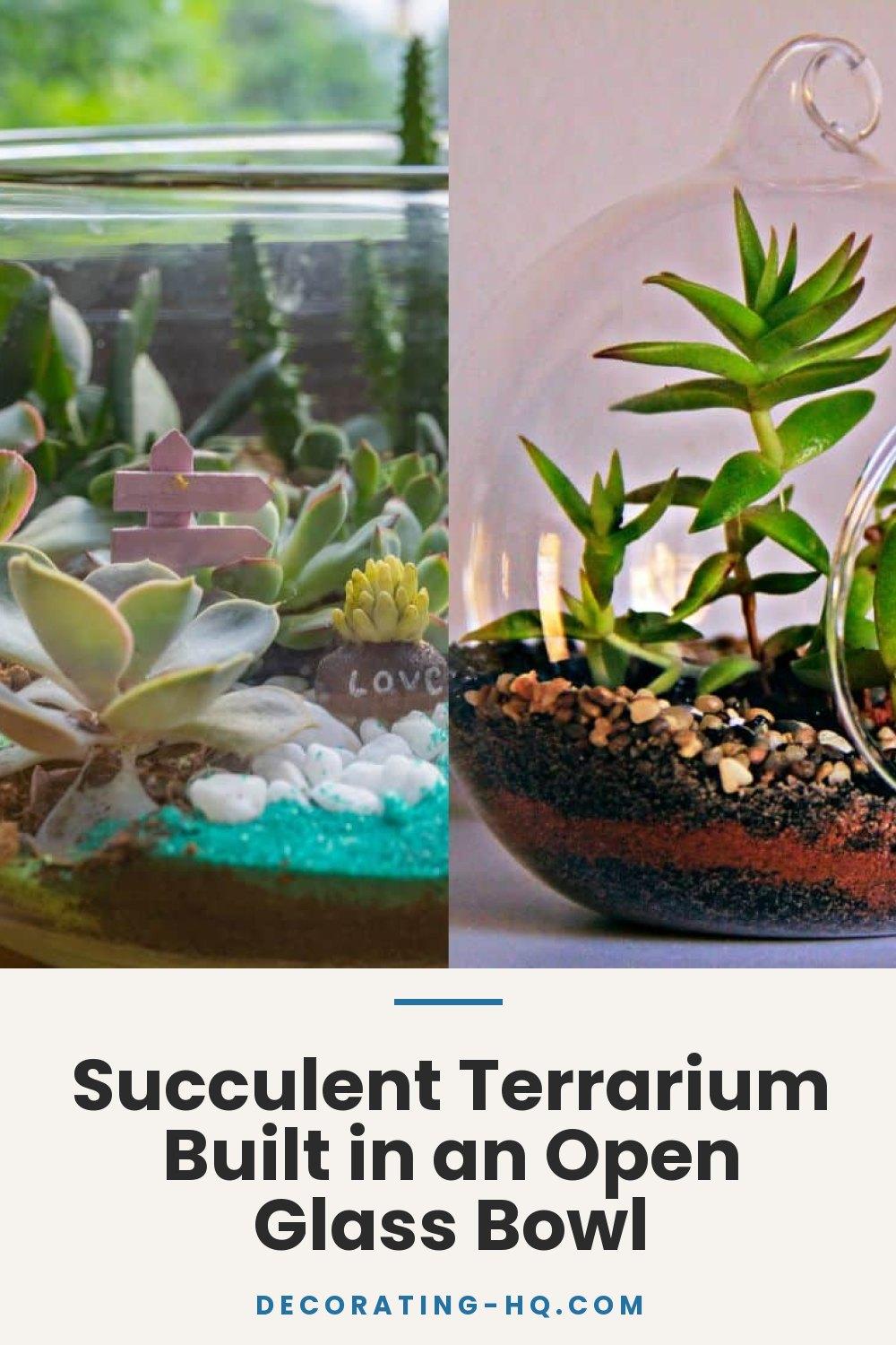 Succulent Terrarium Built in an Open Glass Bowl
